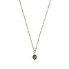 Green Spot Jaspis ketting | zilver/goud 2