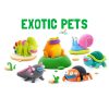 Exotic pets inwork 04 min