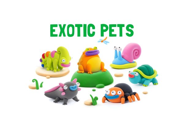 Exotic pets inwork 04 min